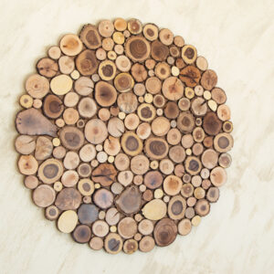 round wood slice